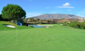Pronostici Golf Procore Championship 2024