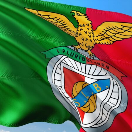Pronostici Primeira Liga: Benfica-Estrela del 19 agosto 2023, quote scommesse e probabile risultato finale