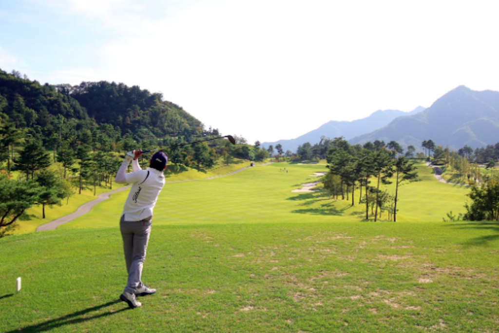 Pronostici Golf gratis