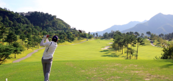 Pronostici Golf: analisi, quote, tracciato e scommesse Butterfield Bermuda Championship 2026 (PGA) e Genesis Championship 2026 (DP)