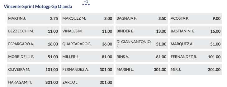 Pronostici MotoGP GP Olanda 2024