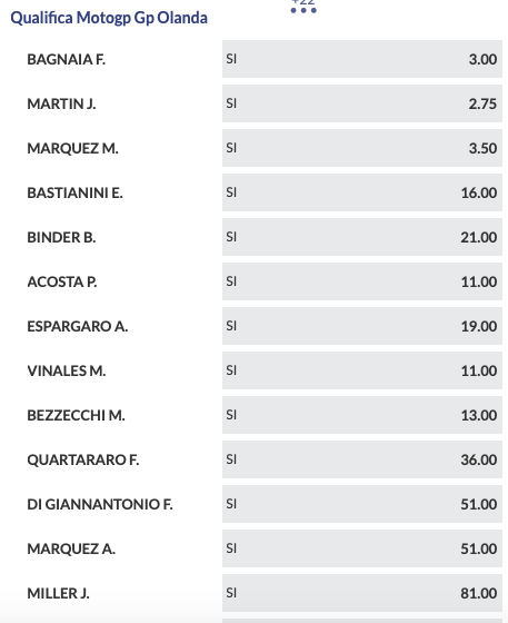 Pronostici MotoGP GP Olanda 2024
