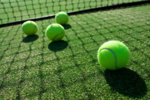 Pronostici Paolini-Vekic 11 luglio 2024