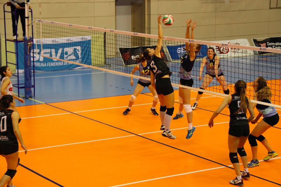Pronostici gratis Pallavolo Femminile