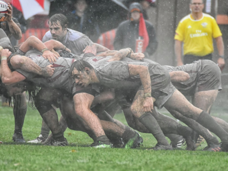 Pronostici United Rugby Championship 2024-25: Leinster favorito. Italiane indietro con Benneton Treviso e Zebre Parma