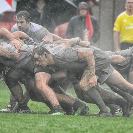 Pronostici United Rugby Championship 2024-25: Leinster favorito. Italiane indietro con Benneton Treviso e Zebre Parma